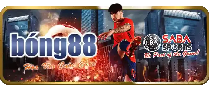 Trách nhiệm cá cược rr888 code